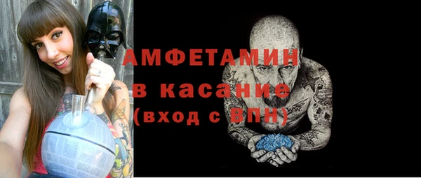 сатива Абинск