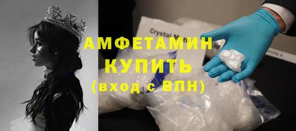 сатива Абинск