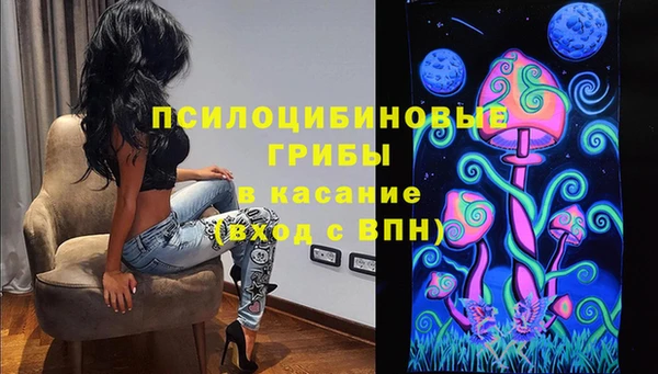 СК Абаза