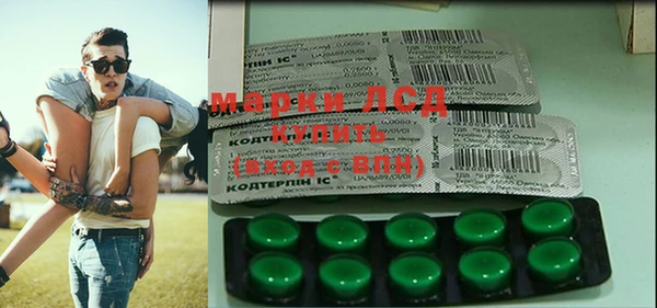 сатива Абинск