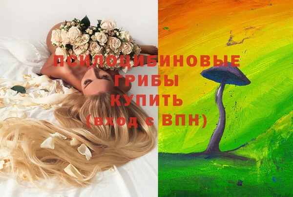 a pvp Абдулино