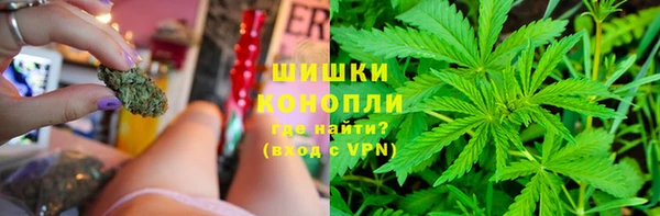 сатива Абинск