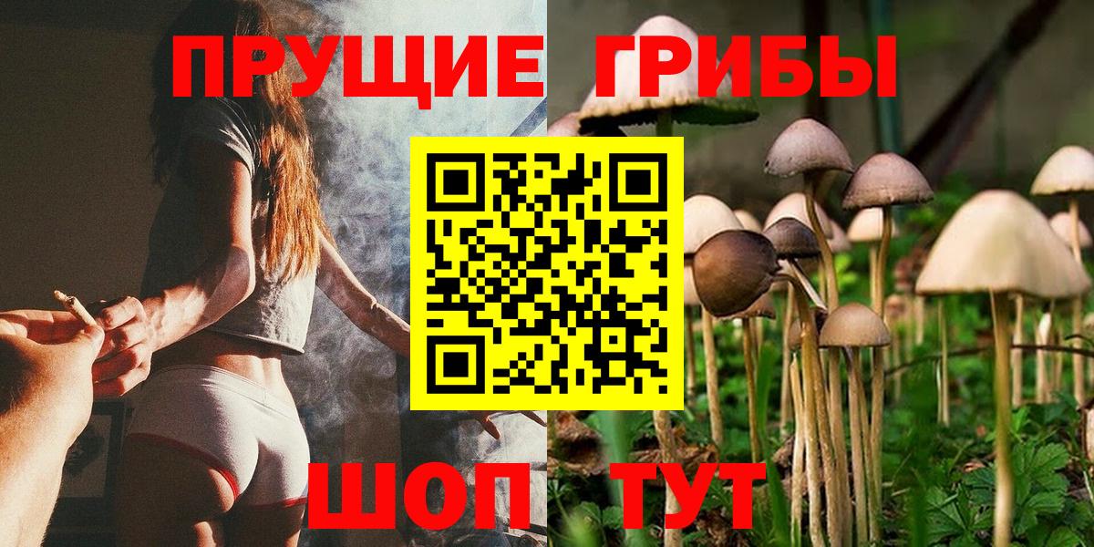 Галлюциногенные грибы прущие грибы  Вход с VPN  Сургут 