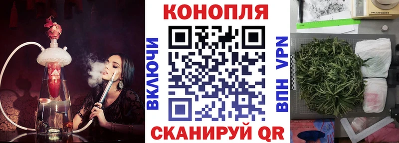 Бошки марихуана план Сургут